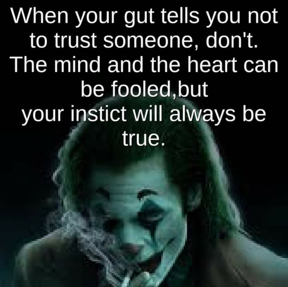 Meet your Posher, Jerry - Picture 7 of 10